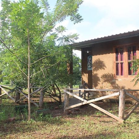 Wilpattu Holiday Home Nochchiyagama Exterior photo