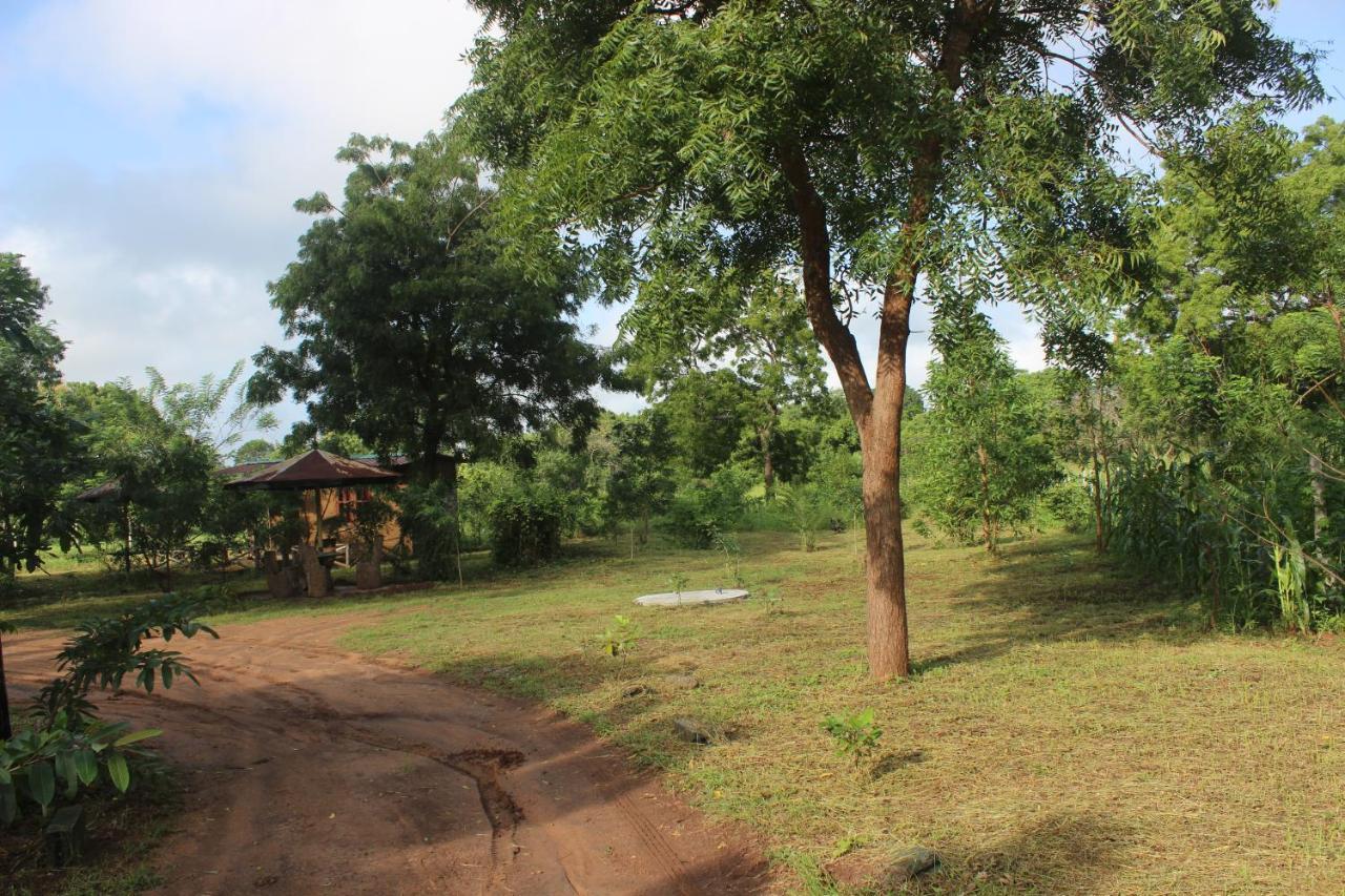 Wilpattu Holiday Home Nochchiyagama Exterior photo